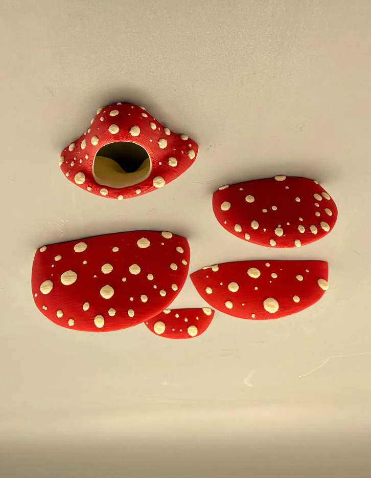 Fungus Grove – Fly Agaric Magnetic Mushroom Set