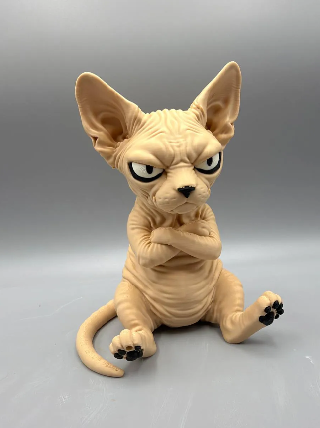 Sphynx Cat