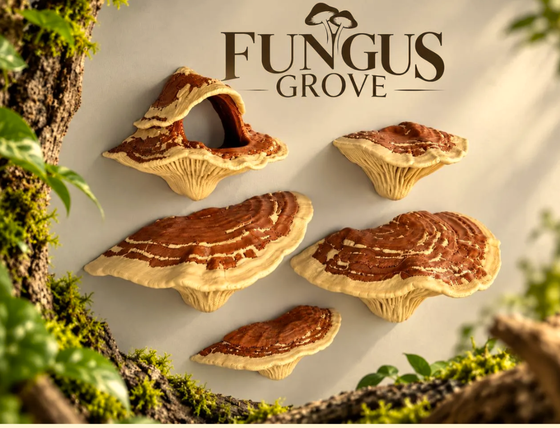 Tree Fungus